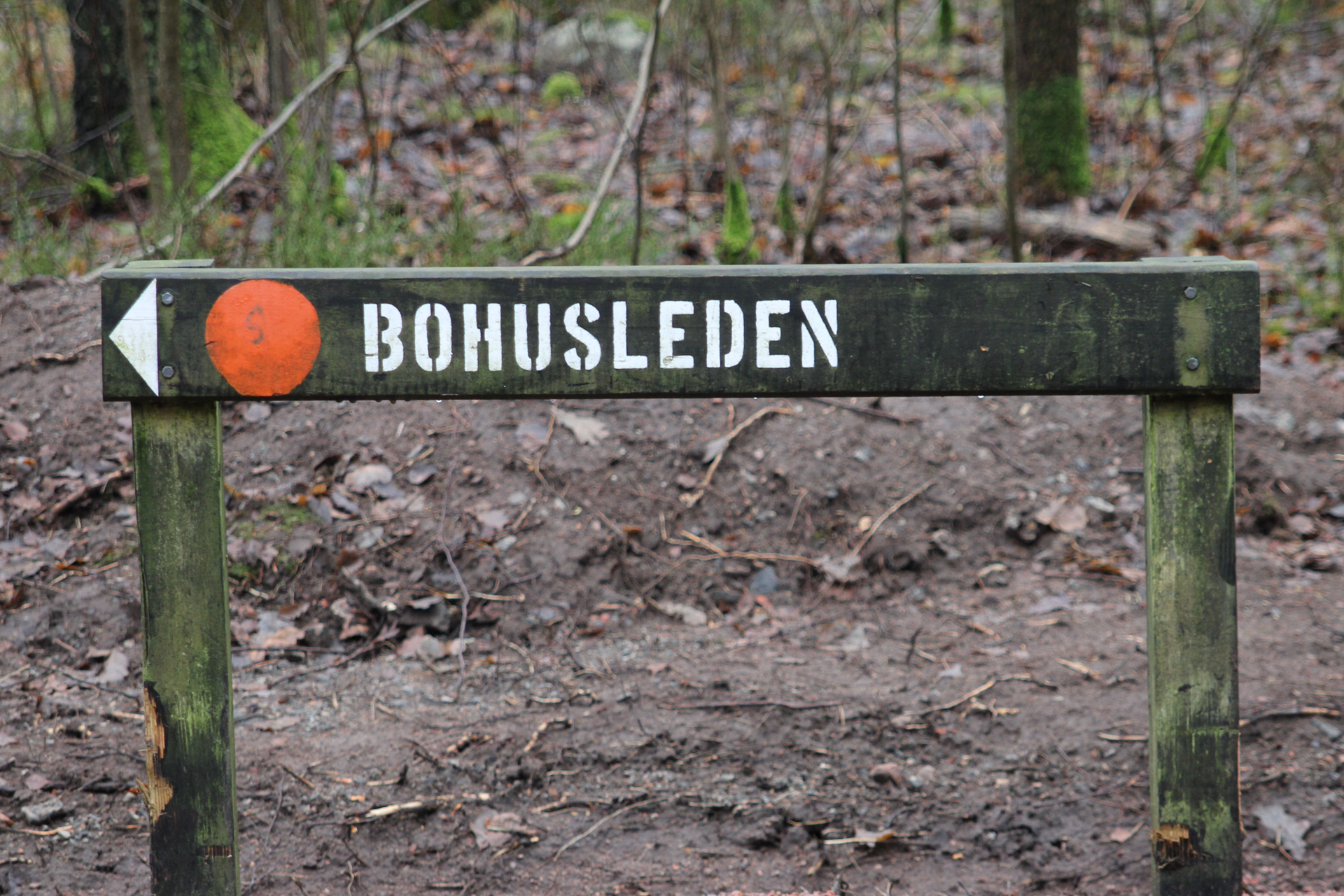 Bohusleden
