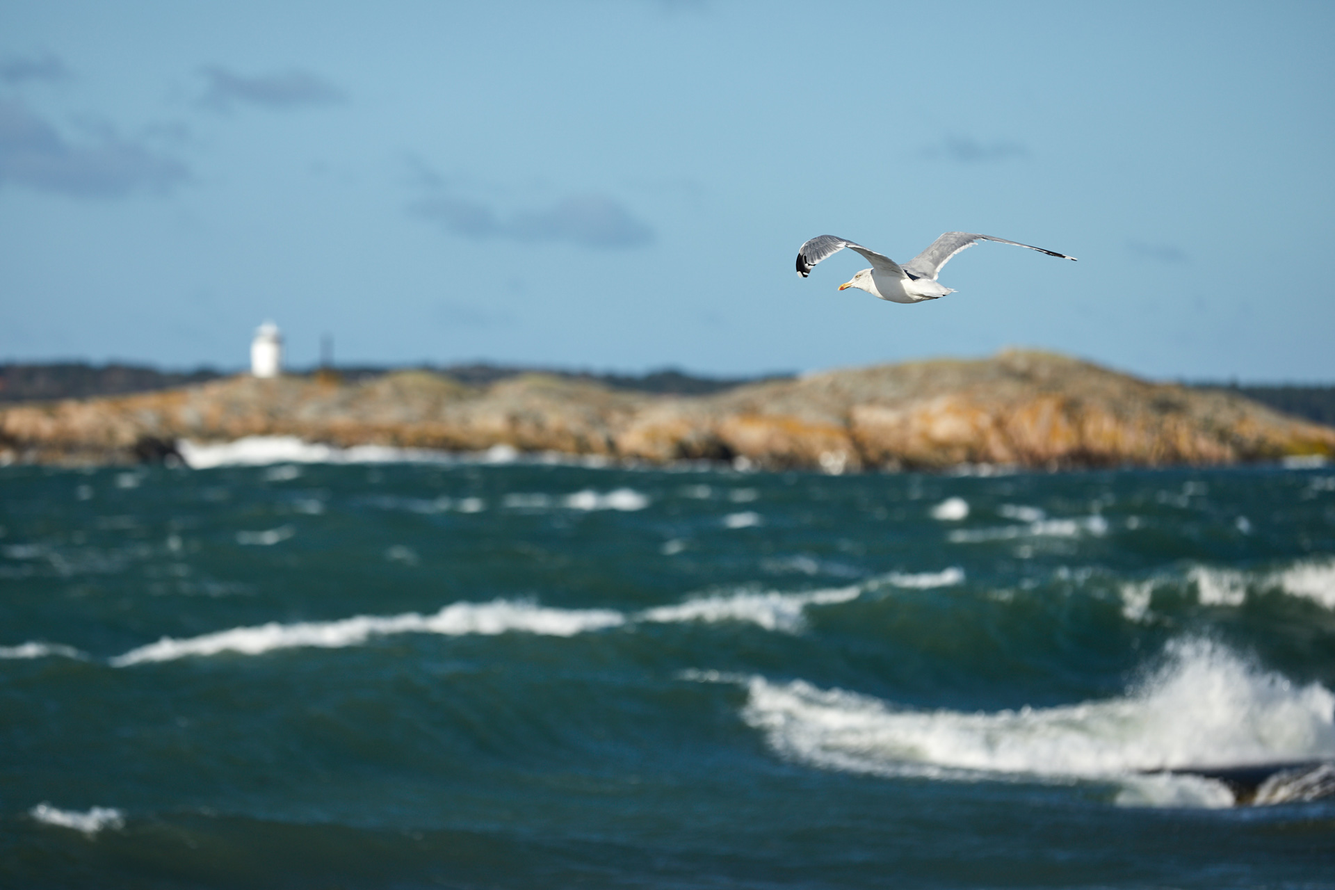 Saltö